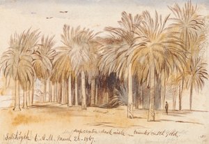 Salahiyeh